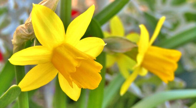 Ostern für alle, die gern in Gesellschaft sind